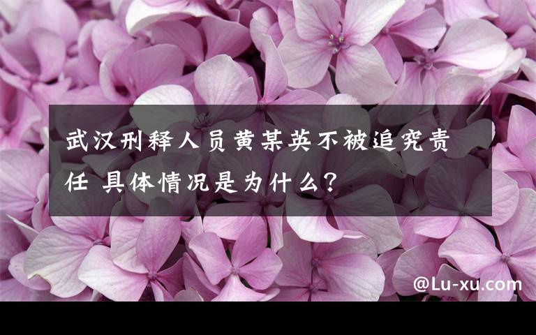 武汉刑释人员黄某英不被追究责任 具体情况是为什么？
