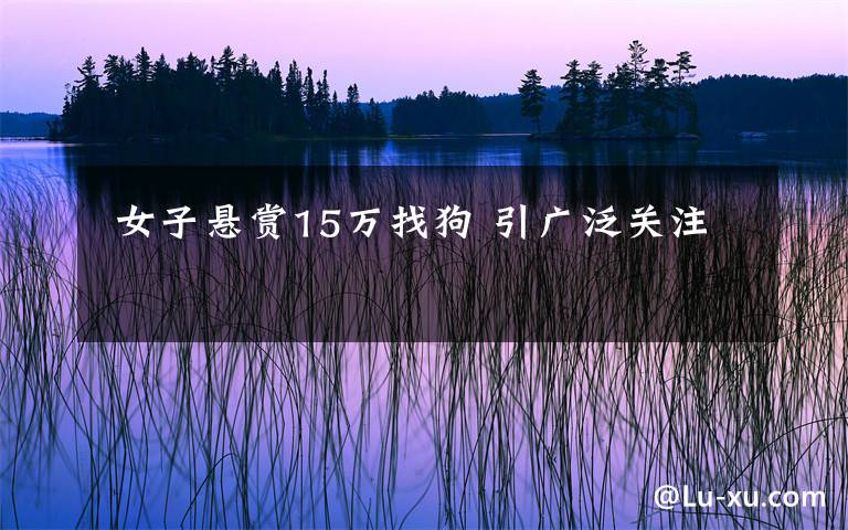  女子悬赏15万找狗 引广泛关注