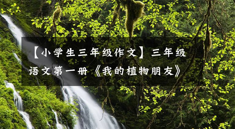 【小学生三年级作文】三年级语文第一册《我的植物朋友》写作方法及范文鉴赏