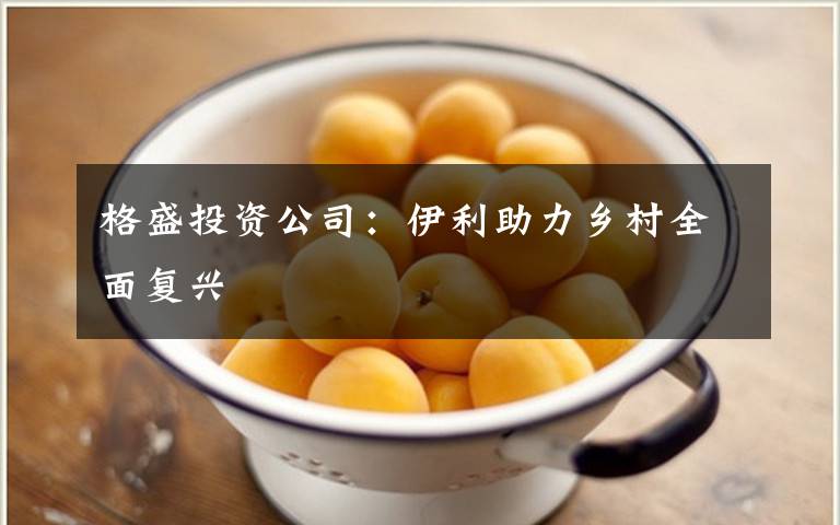 格盛投资公司：伊利助力乡村全面复兴