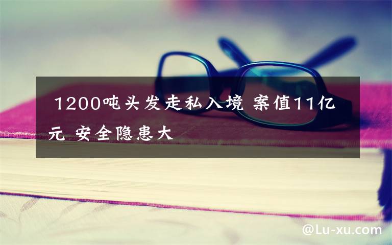  1200吨头发走私入境 案值11亿元 安全隐患大