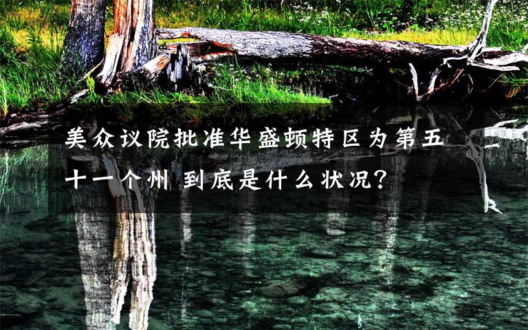 美众议院批准华盛顿特区为第五十一个州 到底是什么状况？