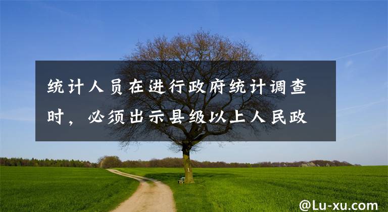 统计人员在进行政府统计调查时，必须出示县级以上人民政府颁发的工作证件。