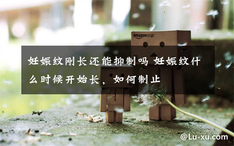 妊娠纹刚长还能抑制吗 妊娠纹什么时候开始长，如何制止