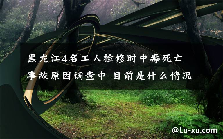 黑龙江4名工人检修时中毒死亡 事故原因调查中 目前是什么情况？