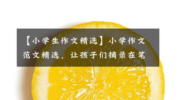 【小学生作文精选】小学作文范文精选，让孩子们摘录在笔记本上积累作文素材！