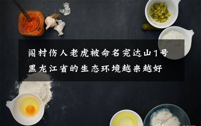  闯村伤人老虎被命名完达山1号 黑龙江省的生态环境越来越好