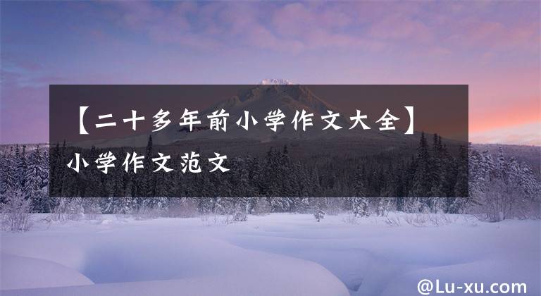 【二十多年前小学作文大全】小学作文范文