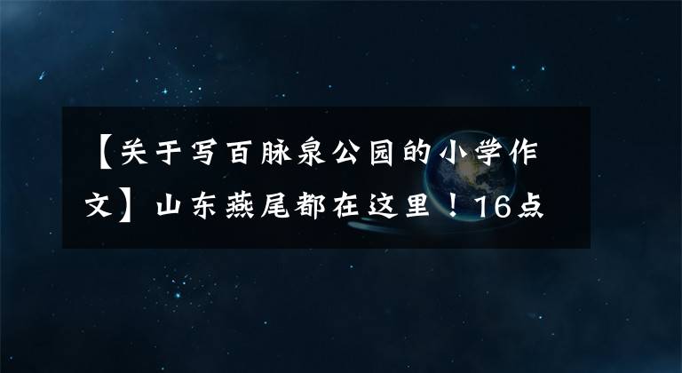【关于写百脉泉公园的小学作文】山东燕尾都在这里！16点初丰富的文化旅游活动迎来新年。