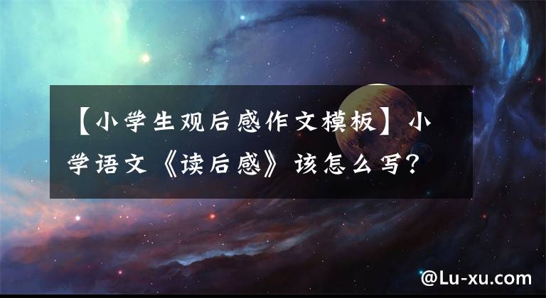 【小学生观后感作文模板】小学语文《读后感》该怎么写？精选四篇范文送给大家，照写就行了