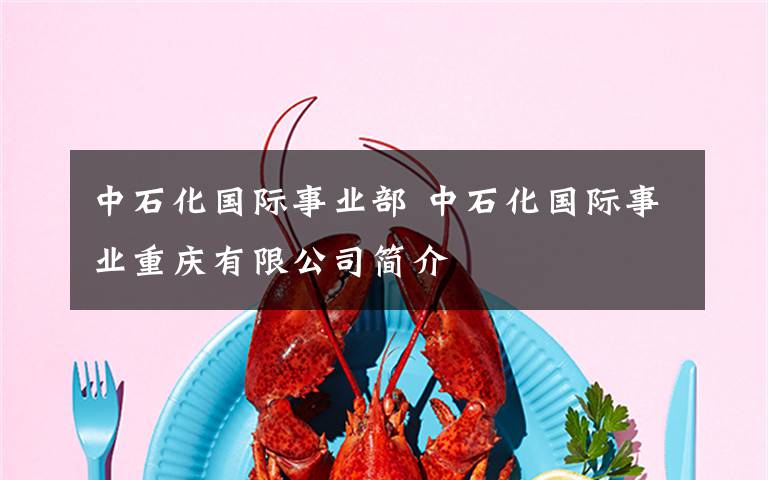 中石化国际事业部 中石化国际事业重庆有限公司简介