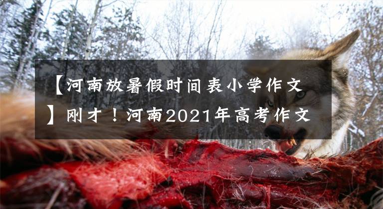 【河南放暑假时间表小学作文】刚才！河南2021年高考作文发表