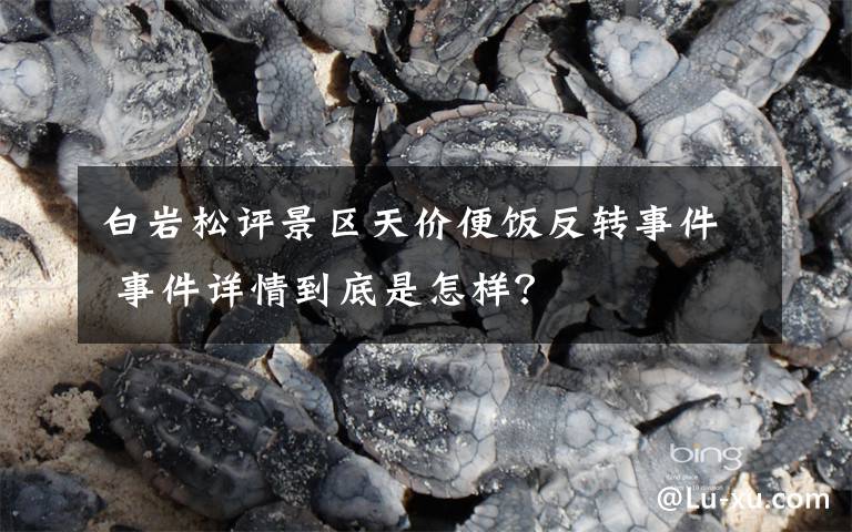 白岩松评景区天价便饭反转事件 事件详情到底是怎样？