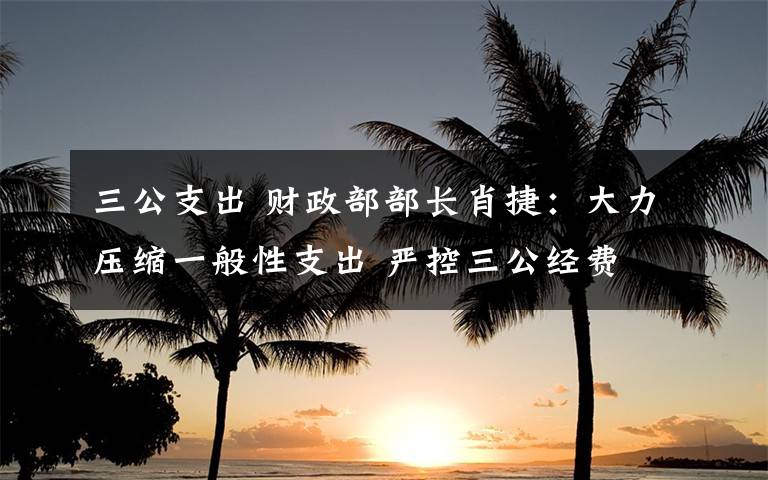 三公支出 财政部部长肖捷：大力压缩一般性支出 严控三公经费