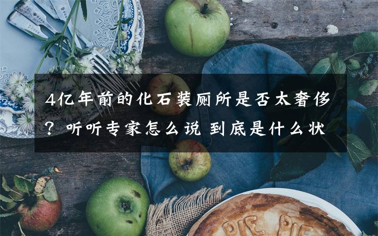4亿年前的化石装厕所是否太奢侈？听听专家怎么说 到底是什么状况？