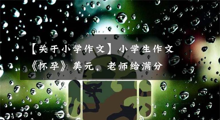 【关于小学作文】小学生作文《怀孕》美元，老师给满分