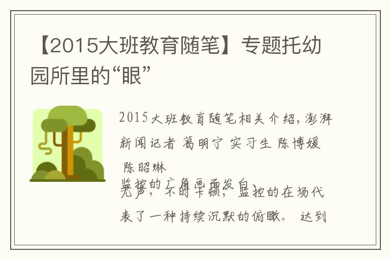 【2015大班教育随笔】专题托幼园所里的“眼”