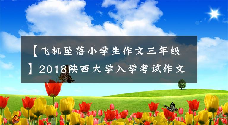 【飞机坠落小学生作文三年级】2018陕西大学入学考试作文：《飞机与弹痕》！