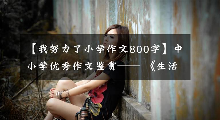 【我努力了小学作文800字】中小学优秀作文鉴赏—— 《生活教会了我努力》