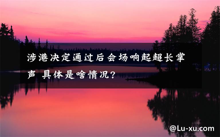 涉港决定通过后会场响起超长掌声 具体是啥情况?