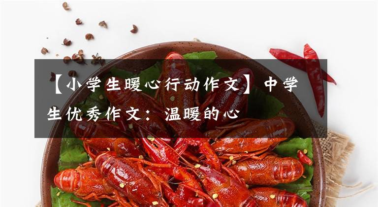 【小学生暖心行动作文】中学生优秀作文：温暖的心