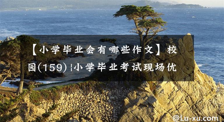 【小学毕业会有哪些作文】校园(159) |小学毕业考试现场优秀作文欣赏：开始