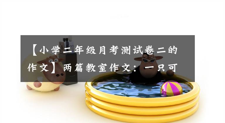 【小学二年级月考测试卷二的作文】两篇教室作文：一只可爱的乌龟和一棵令人印象深刻的树。