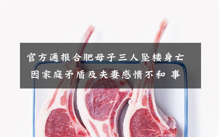 官方通报合肥母子三人坠楼身亡 因家庭矛盾及夫妻感情不和 事件详情始末介绍！