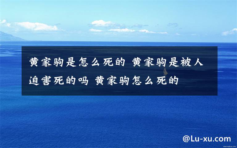 黄家驹是怎么死的 黄家驹是被人迫害死的吗 黄家驹怎么死的