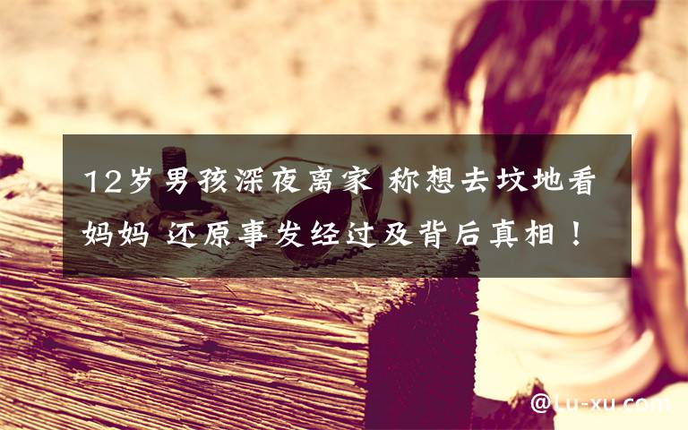 12岁男孩深夜离家 称想去坟地看妈妈 还原事发经过及背后真相！