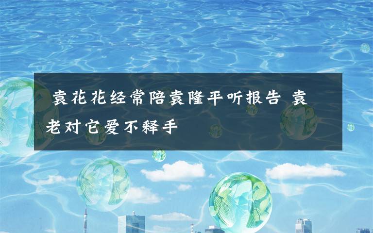  袁花花经常陪袁隆平听报告 袁老对它爱不释手