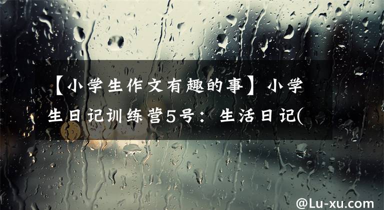 【小学生作文有趣的事】小学生日记训练营5号：生活日记(3)——我家的新鲜事，搞笑
