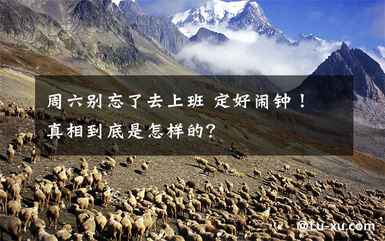 周六别忘了去上班 定好闹钟！ 真相到底是怎样的？
