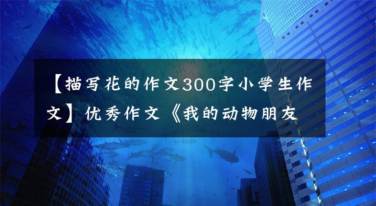 【描写花的作文300字小学生作文】优秀作文《我的动物朋友—来福》 《滚来滚去的土豆》 《爱如柚花》
