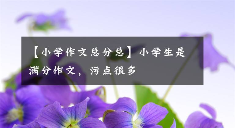 【小学作文总分总】小学生是满分作文，污点很多