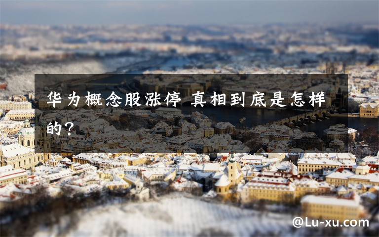 华为概念股涨停 真相到底是怎样的？