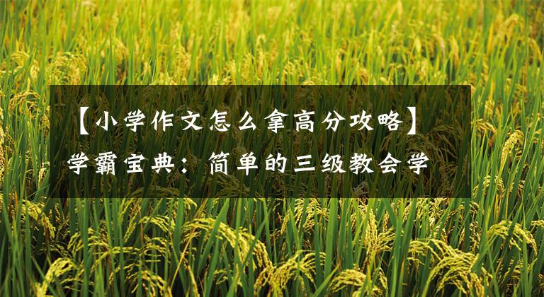 【小学作文怎么拿高分攻略】学霸宝典：简单的三级教会学生写优秀的论文。