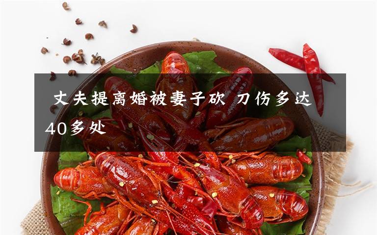  丈夫提离婚被妻子砍 刀伤多达40多处