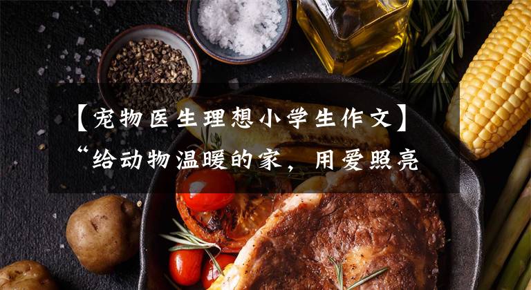 【宠物医生理想小学生作文】“给动物温暖的家，用爱照亮前路”——来自野生动物“急救医生”的声音