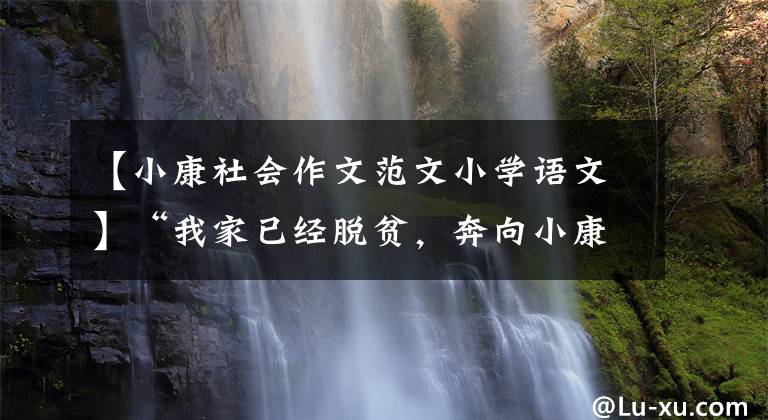 【小康社会作文范文小学语文】“我家已经脱贫，奔向小康，日子会越来越兴旺。”