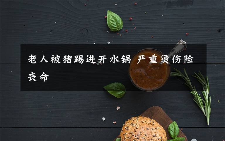 老人被猪踢进开水锅 严重烫伤险丧命