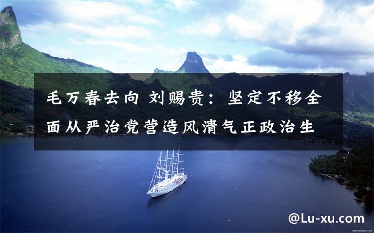 毛万春去向 刘赐贵：坚定不移全面从严治党营造风清气正政治生态 确保海南自贸港建设沿着正确方向行稳致远