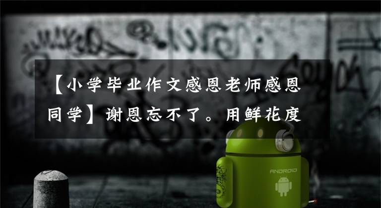 【小学毕业作文感恩老师感恩同学】谢恩忘不了。用鲜花度过了——东莞小学2022年6年级毕业典礼
