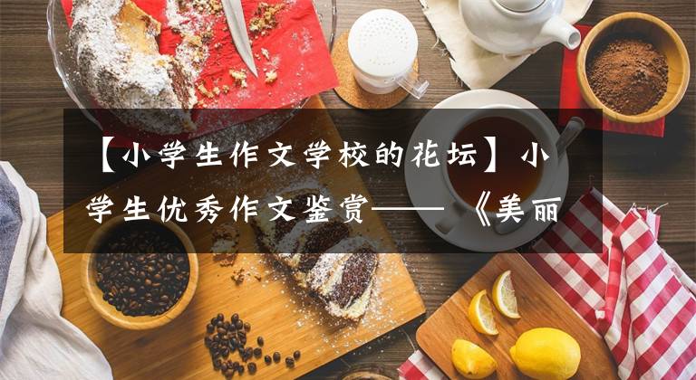 【小学生作文学校的花坛】小学生优秀作文鉴赏—— 《美丽的校园》