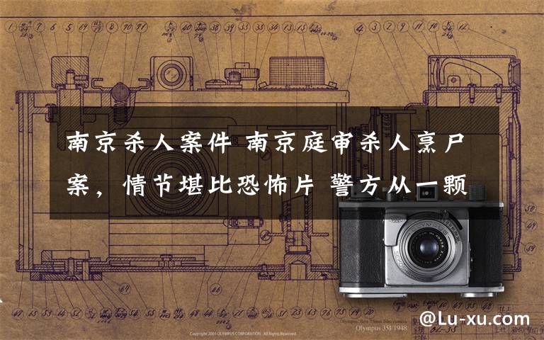 南京杀人案件 南京庭审杀人烹尸案，情节堪比恐怖片 警方从一颗遗落的牙齿找出真凶