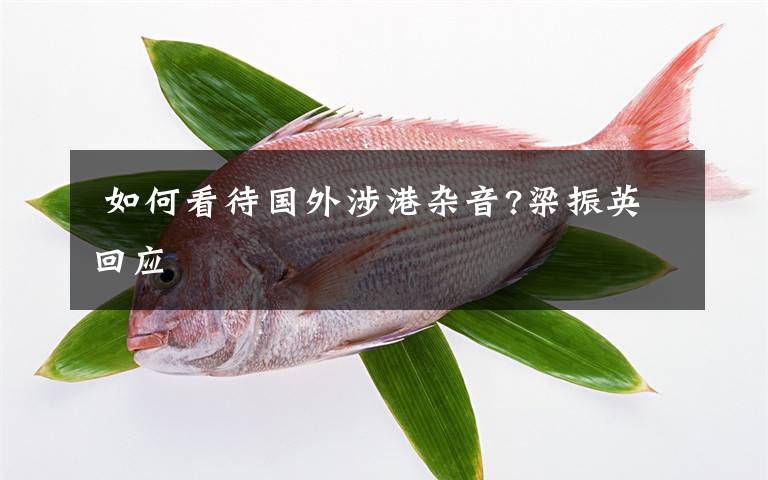  如何看待国外涉港杂音?梁振英回应