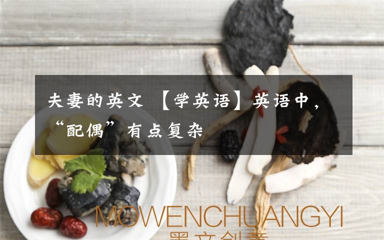 夫妻的英文 【学英语】英语中，“配偶”有点复杂