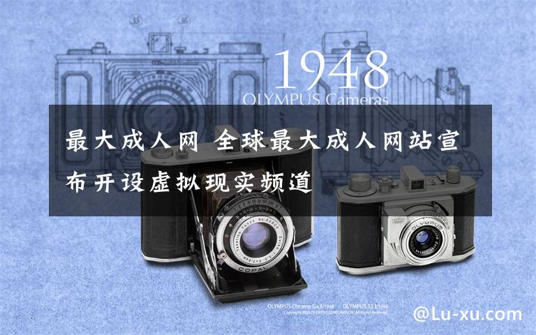 最大成人网 全球最大成人网站宣布开设虚拟现实频道