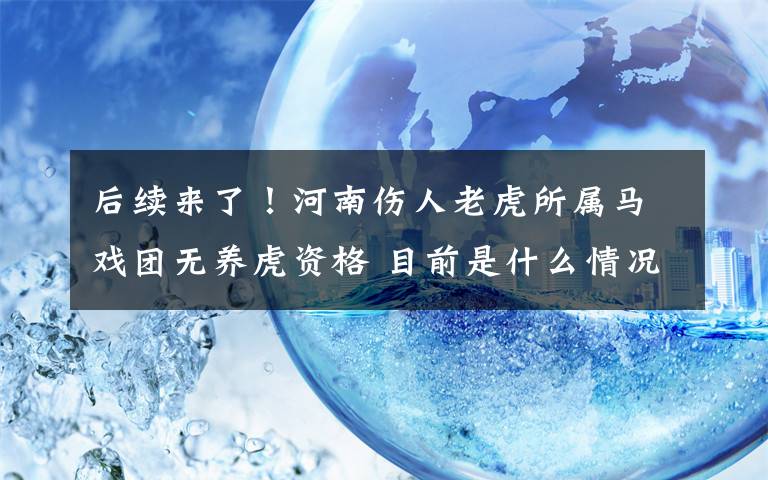 后续来了！河南伤人老虎所属马戏团无养虎资格 目前是什么情况？