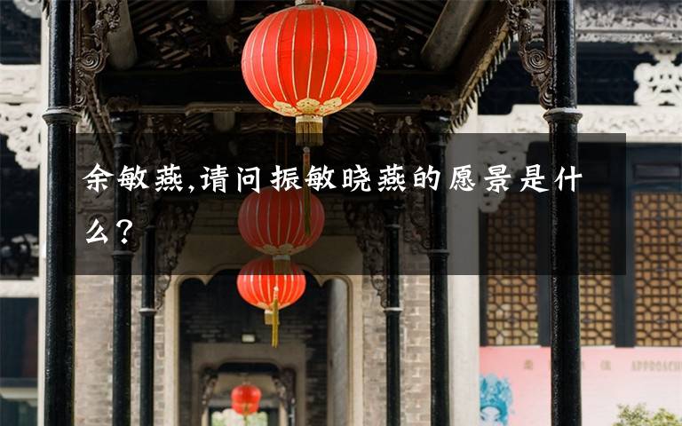 余敏燕,请问振敏晓燕的愿景是什么？